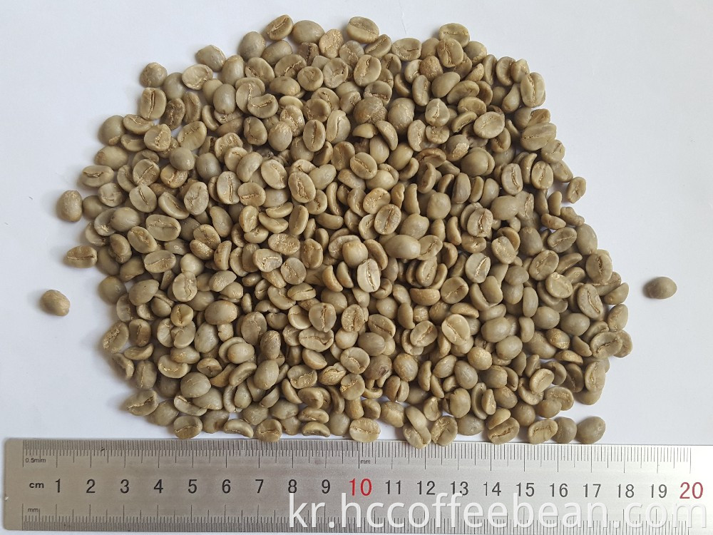 중국어 아라비카 그린 커피 콩, 씻어, 세련된 학년 AA 17 위로